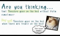 Logic Dogs #1 for Small Breeds (younger kids)