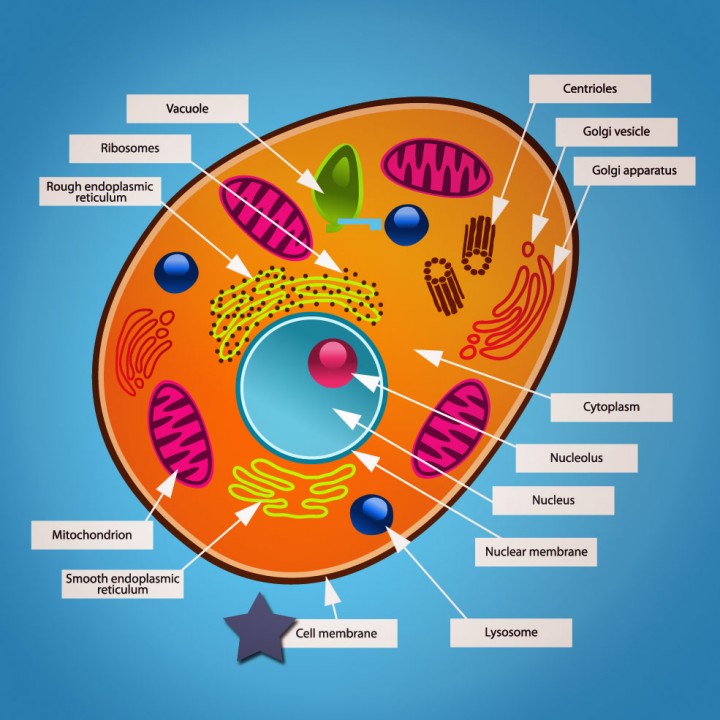 pre-ap-biology-mrs-candice-harbison