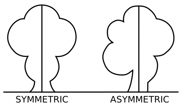 symmetric-and-asymmetric-balance