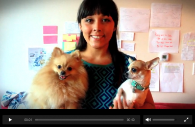 athena-and-logic-dogs