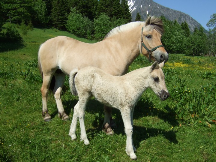 Fjording,_mother_and_daughter