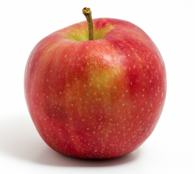 apple-polishing-fallacy-for-kids