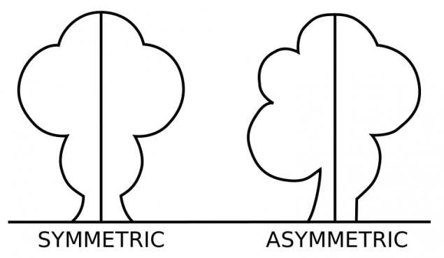 asymmetrical drawing examples